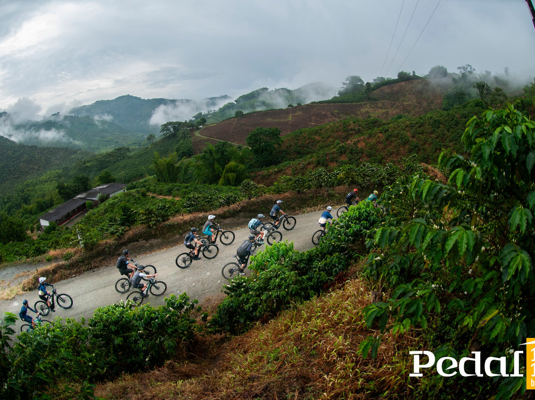 Pedal 1817 By Florida Bike Shop-Villamaria必去景点