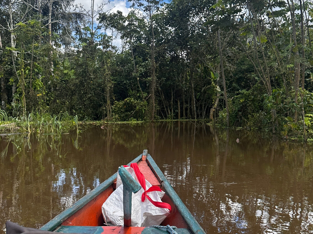 Amazon Maguta Jungle Lodge景点图片