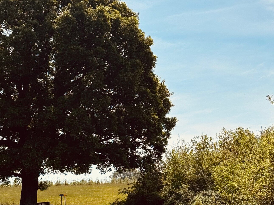Balfour Winery景点图片