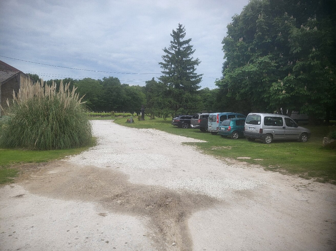 Domaine Poncereau de haut景点图片