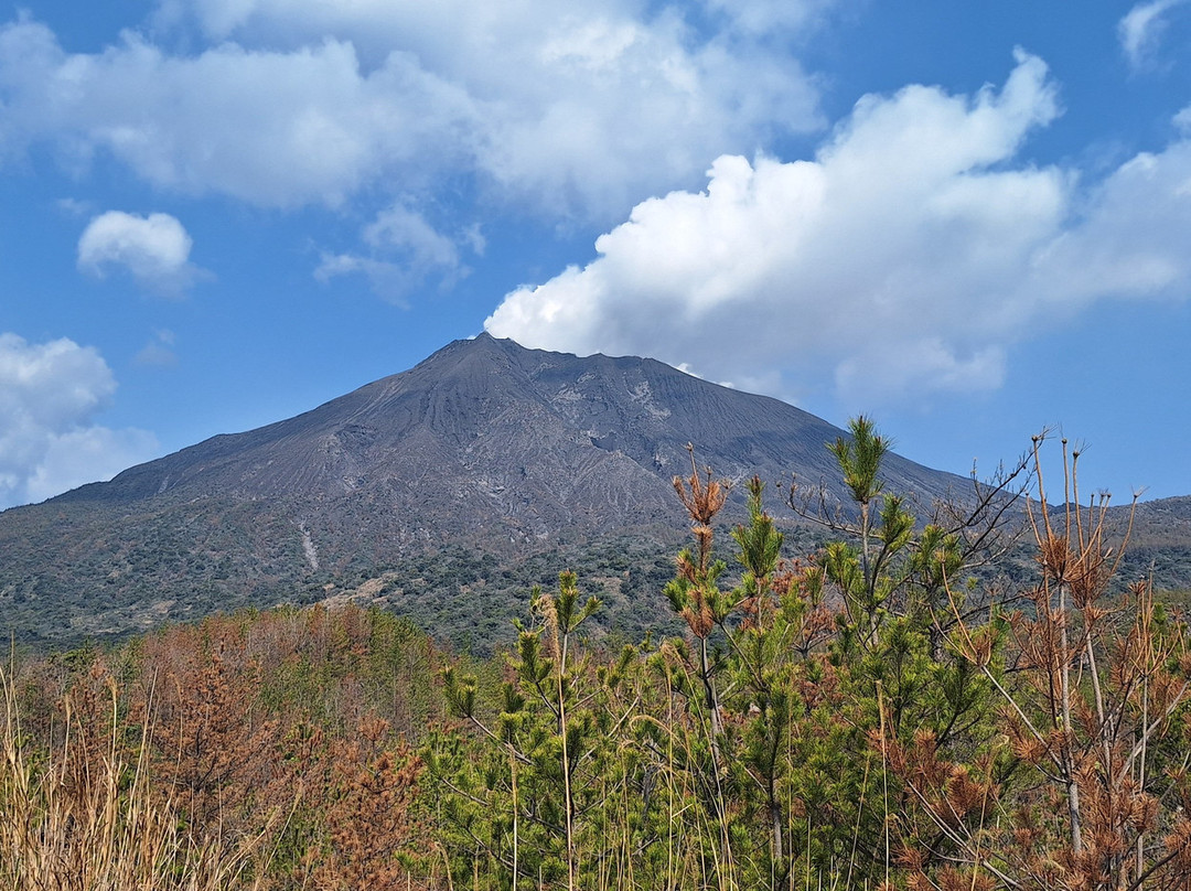 樱岛火山-鹿儿岛市必去景点