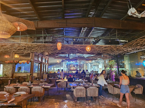 Ritual Sagrado en Tulum: Chamán, Cenote Secreto y Cata Mística-图伦必去景点