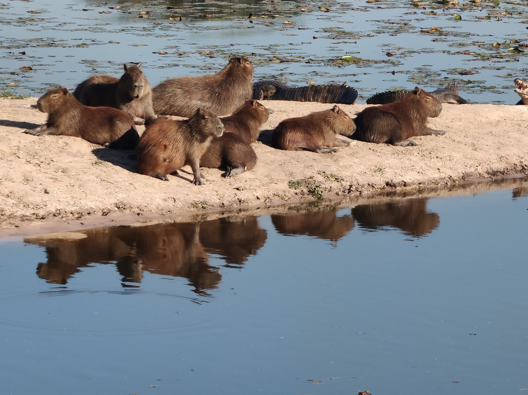 Posada Huella Ibera主图