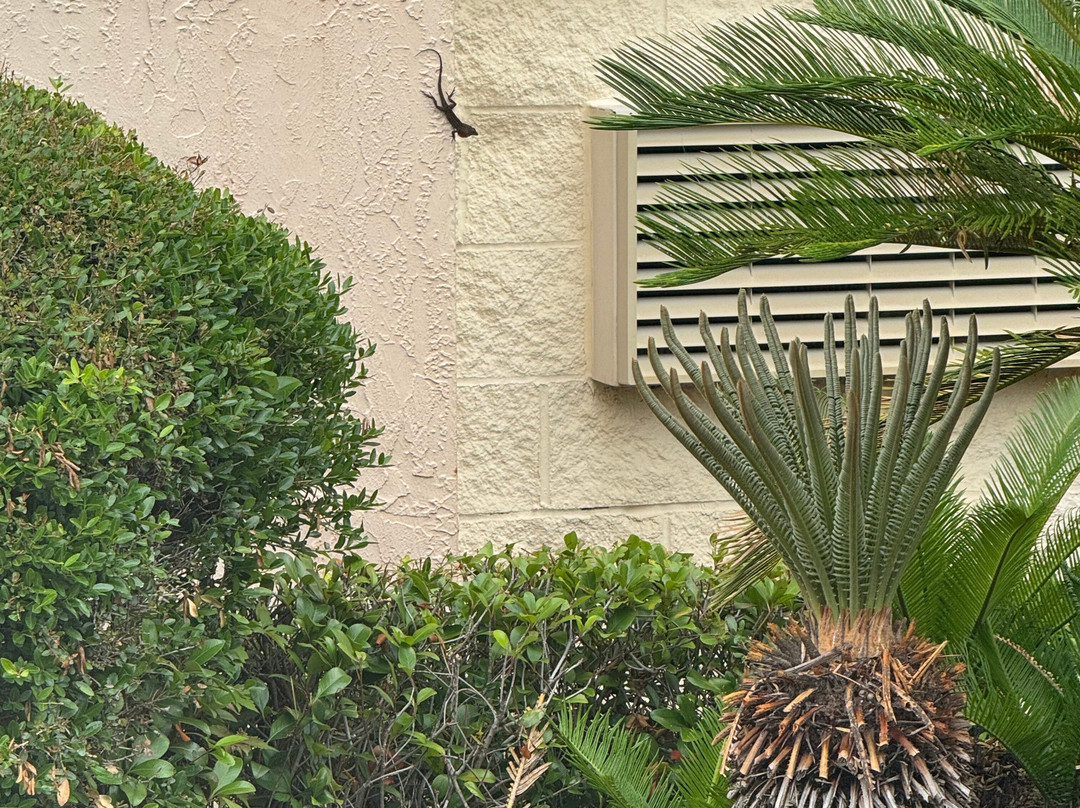 Best Western Gateway Grand主图