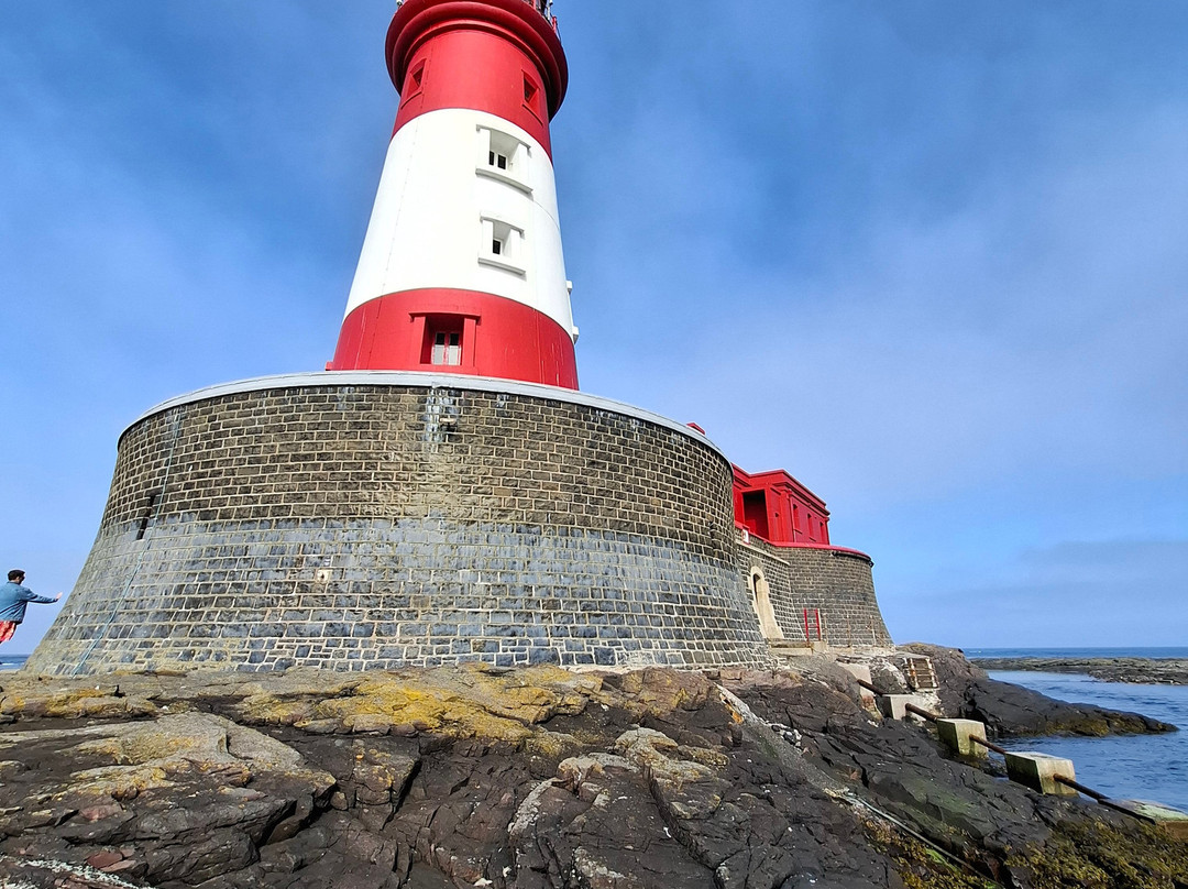 Golden Gate Farne Islands Boat Trips-Seahouses必去景点