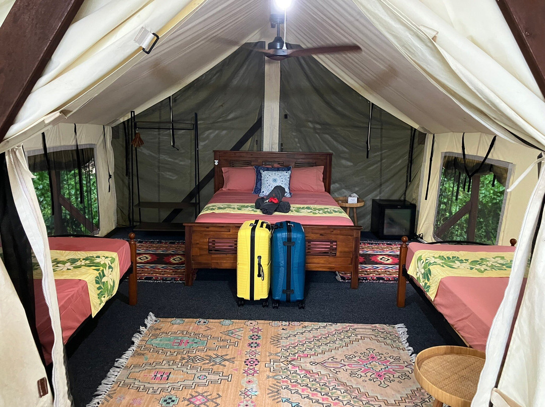 Roko Island, Cape York-Roko Island必去景点