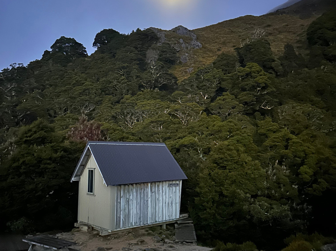 The Old Ghost Road-韦斯特波特必去景点