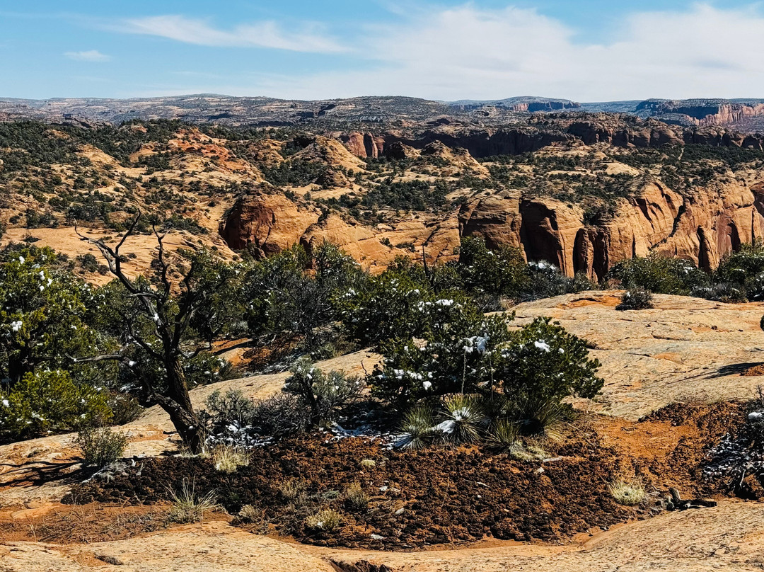 Navajo National Monument-Shonto必去景点