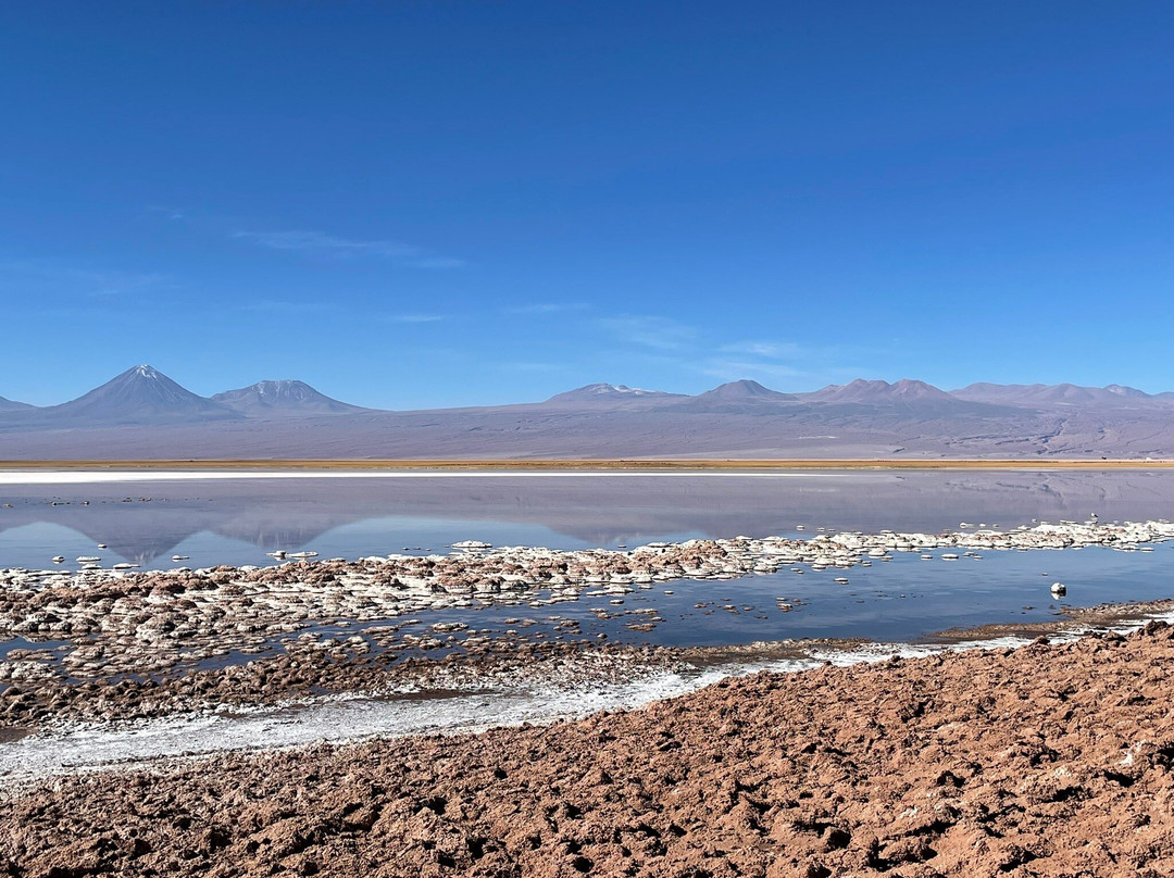 Laguna Tebinquinche景点图片