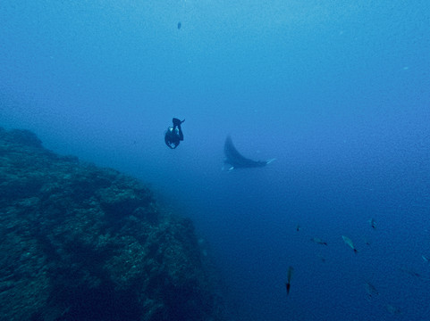 Life & Dive-Playas del Coco必去景点