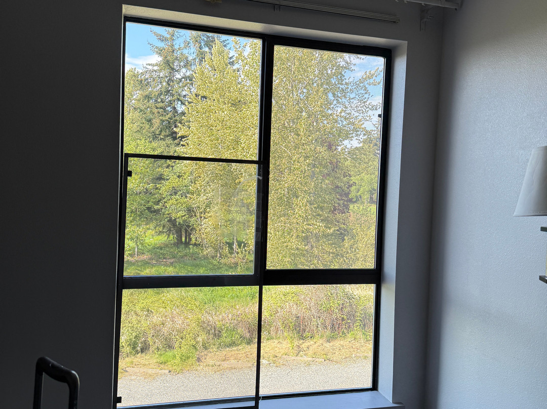 Comfort Inn Bellingham主图