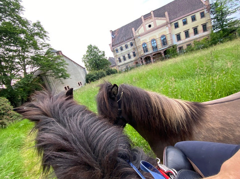 Rittergut Kohren-sahlis-Frohburg必去景点