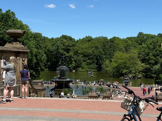 #1 Central Park Pedicab Tour-纽约市必去景点