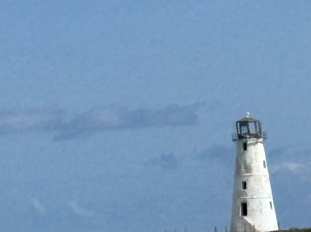 Port Canaveral-卡纳维拉尔港必去景点