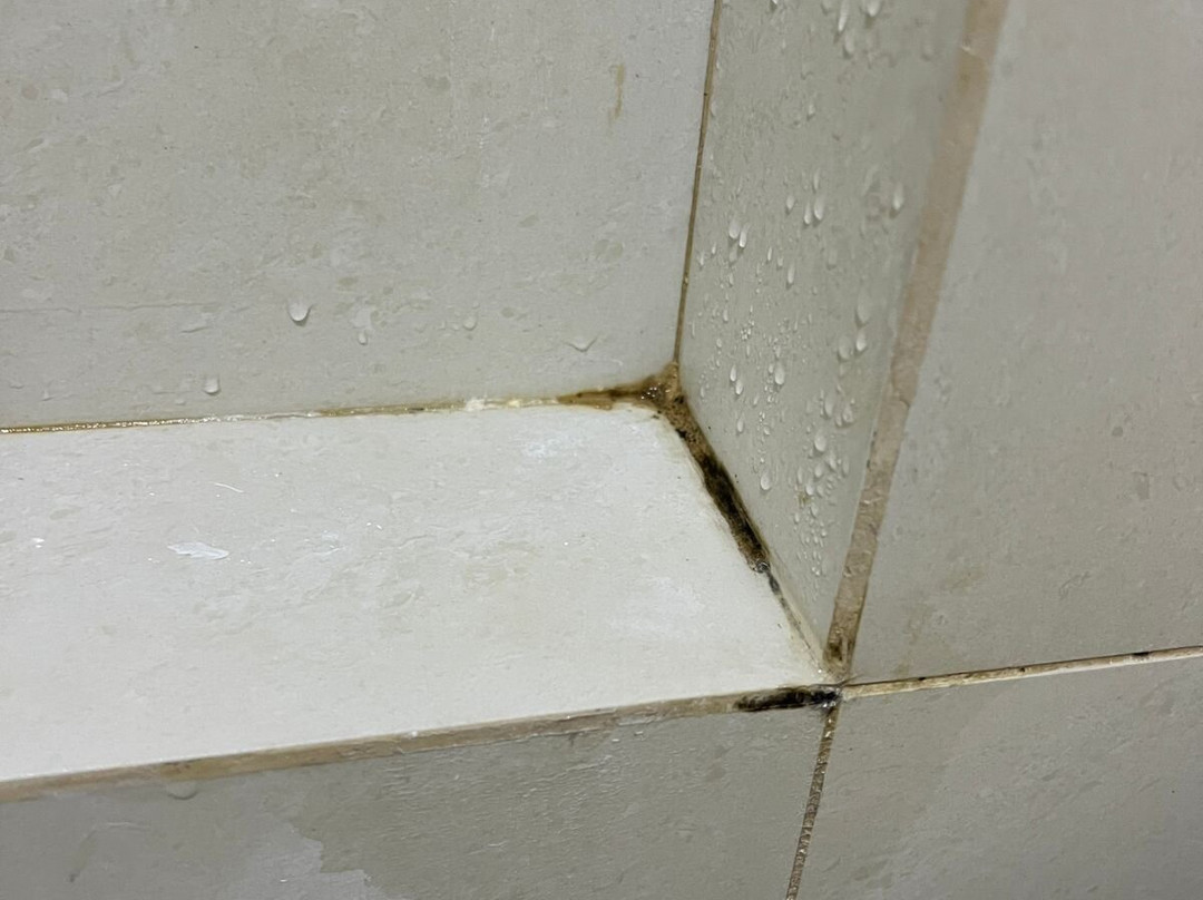 Mision Monterrey Centro Historico主图