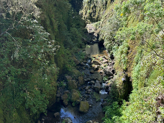 MJ Tours-沙尔必去景点