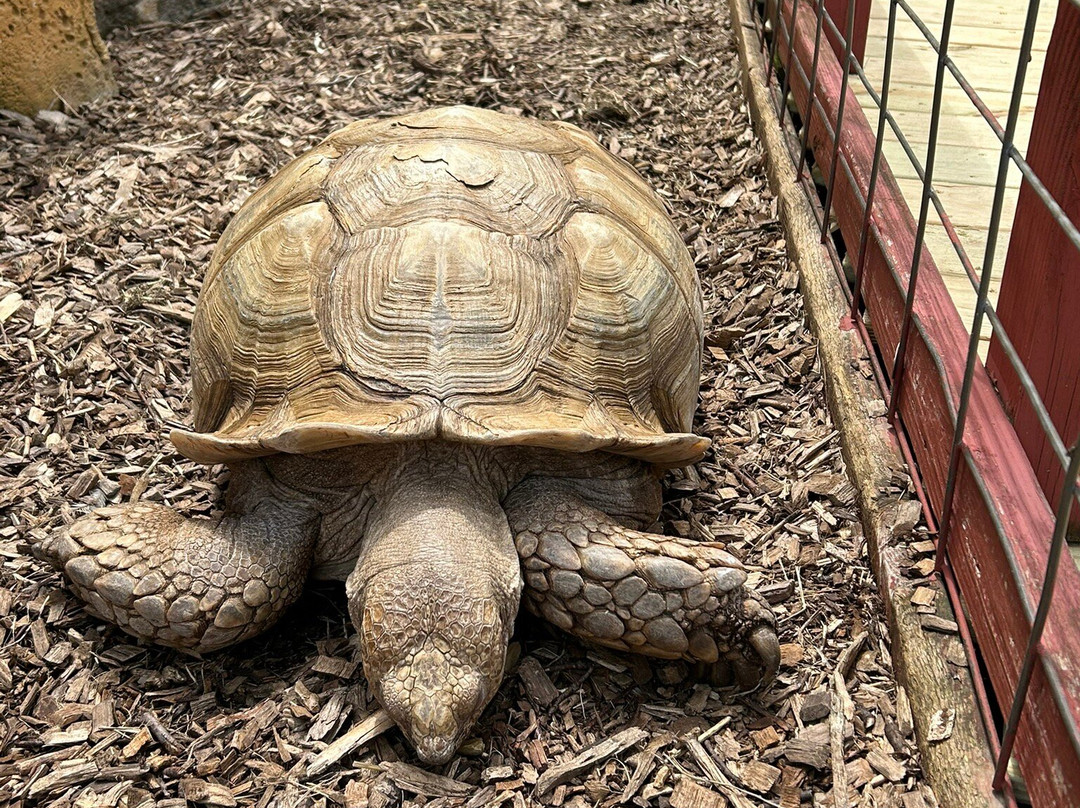 Rainforest Adventures-塞维尔维尔必去景点