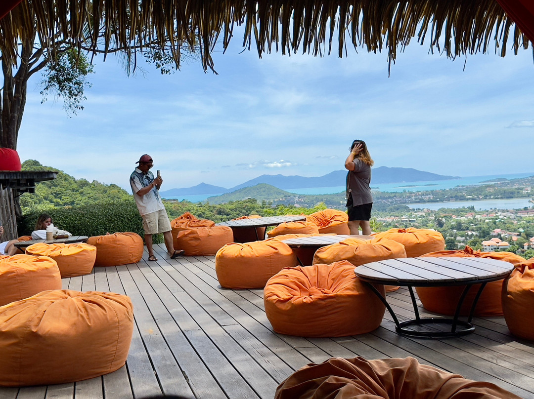 丛林俱乐部主图