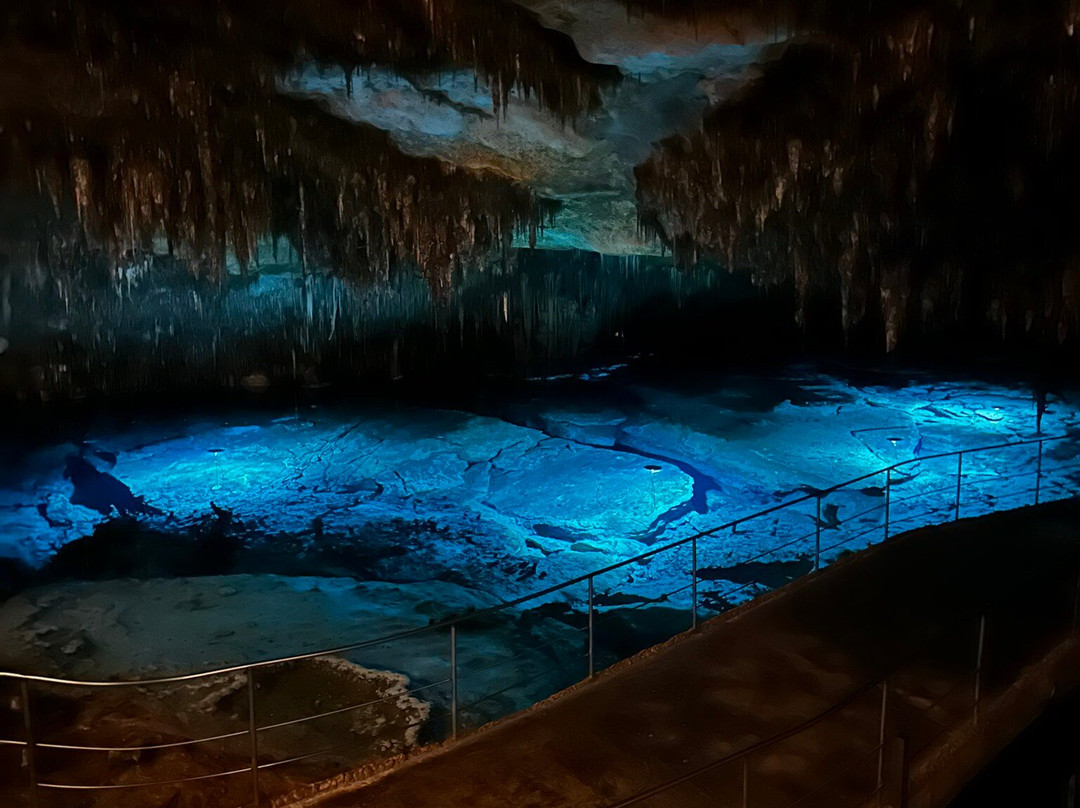 Mallorca Private Tour Guides - Day Tours-马洛卡帕尔马必去景点