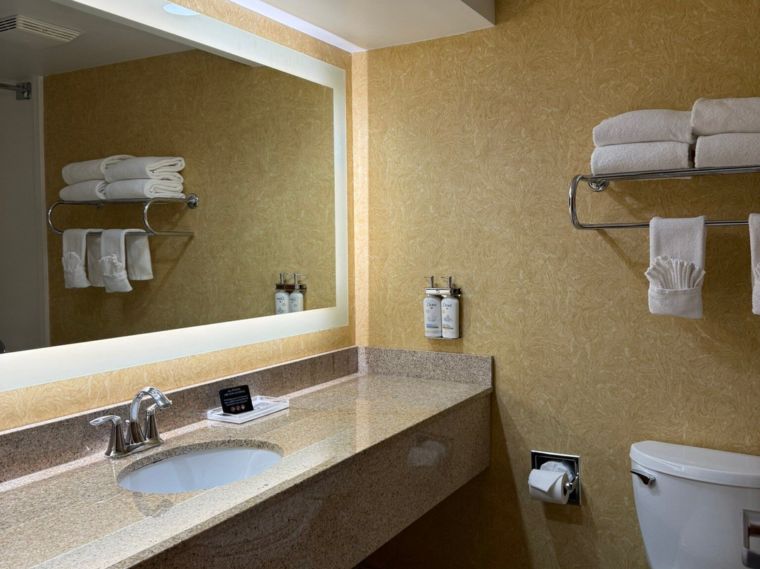 Holiday Inn Baltimore Bwi Airport By IHG主图