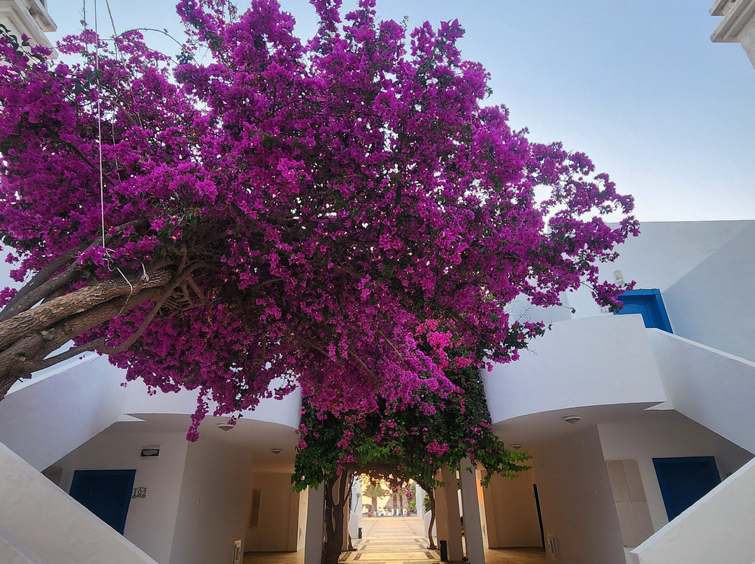 Ladonia Hotels Zemda主图