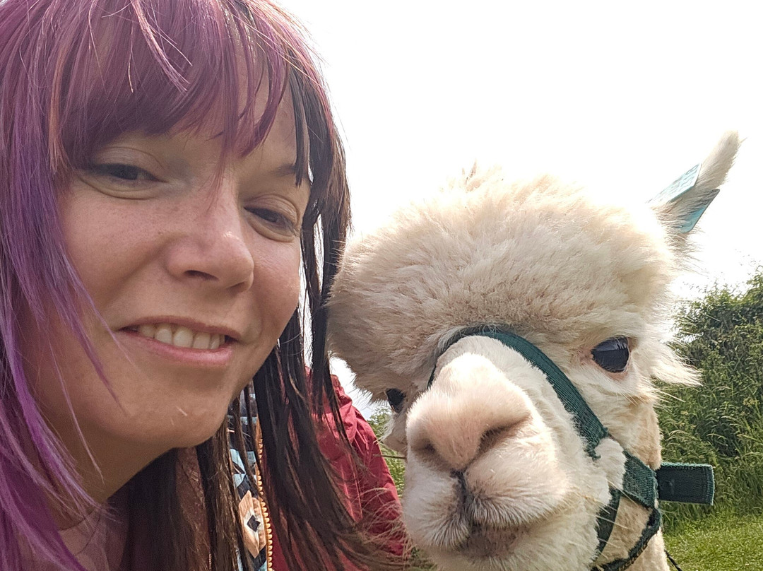 Charnwood Forest Alpacas景点图片