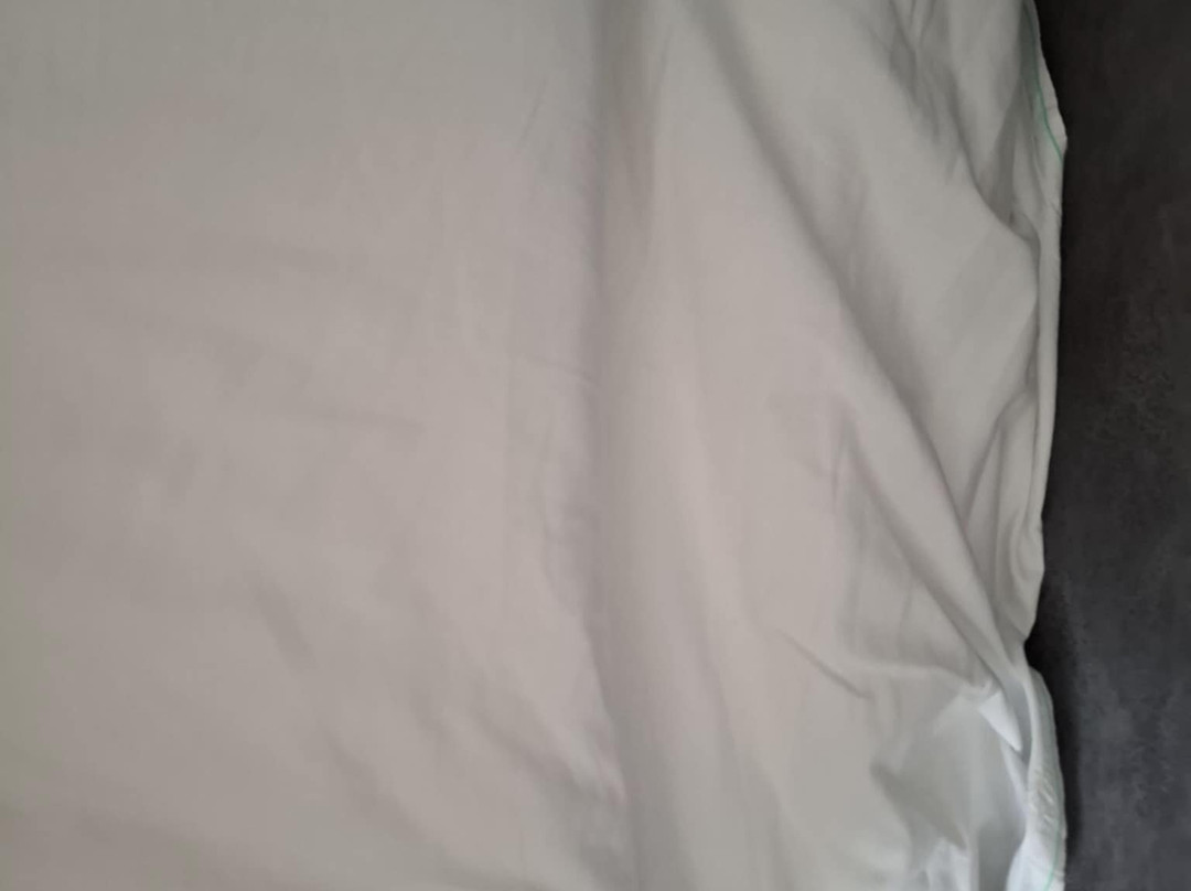 宜必思海牙斯海弗宁恩酒店主图