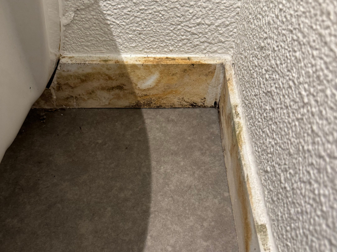 Ibis Budget Orly-rungis主图
