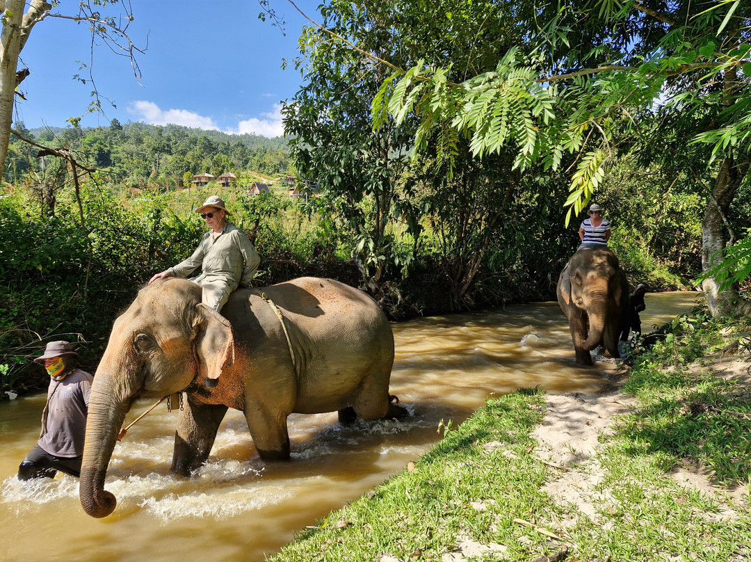 Elephant Special Tours-清迈府必去景点