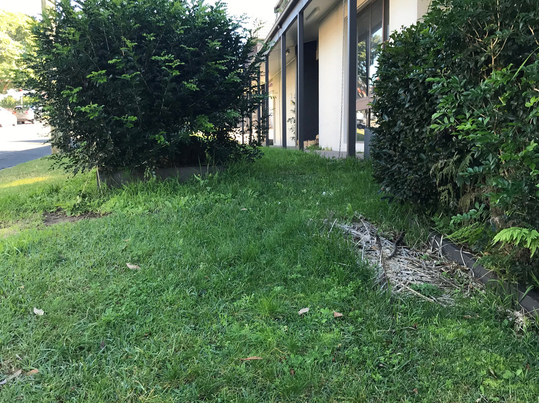 Parkhaven Resort主图