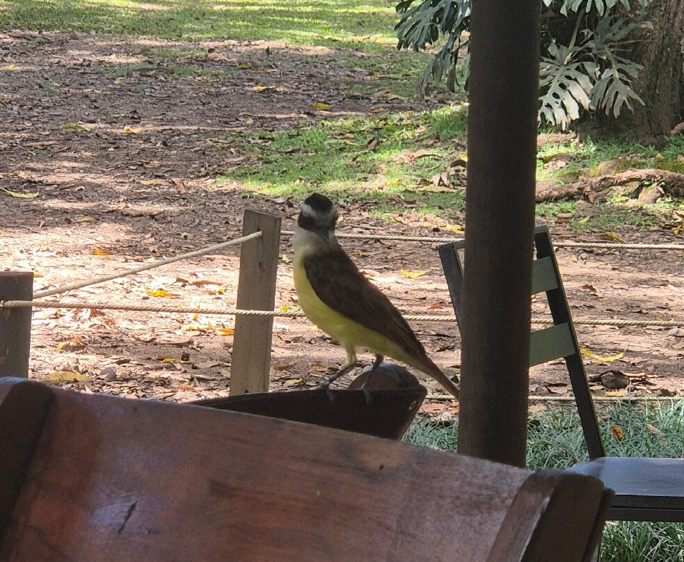 Jardín Botánico de Medellín-麦德林必去景点