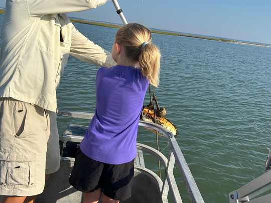 Captain Barry's BackBay Cruises-钦科蒂格岛必去景点