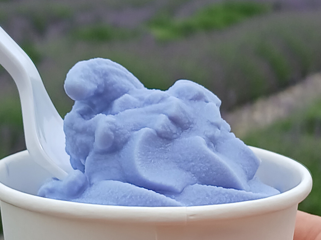 Lavender Life Company