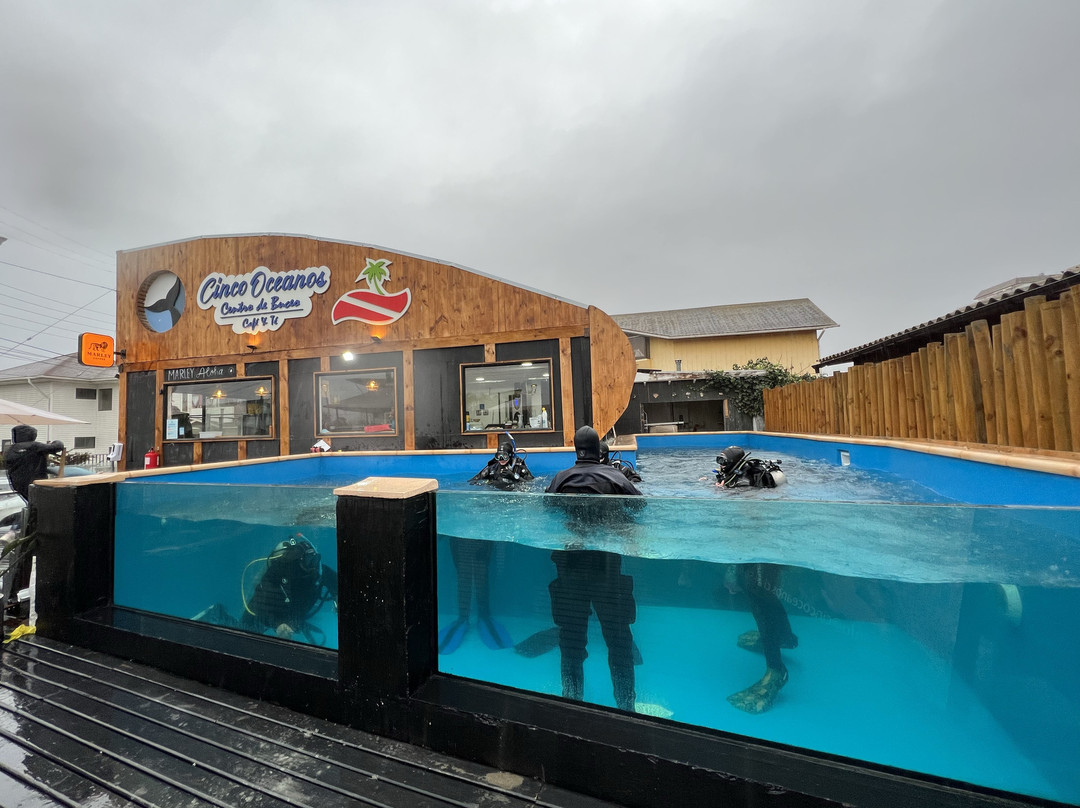 Cinco Oceanos Dive Center-Algarrobo必去景点