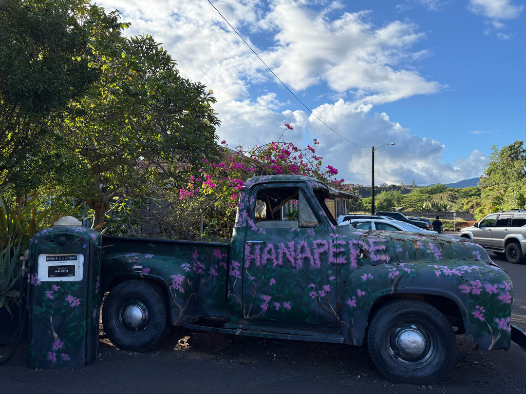 Hanapepe Friday Night Festival & Art Walk-哈纳佩佩必去景点