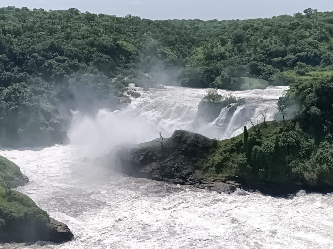 Big 5 Africa Tours-Bobingen必去景点