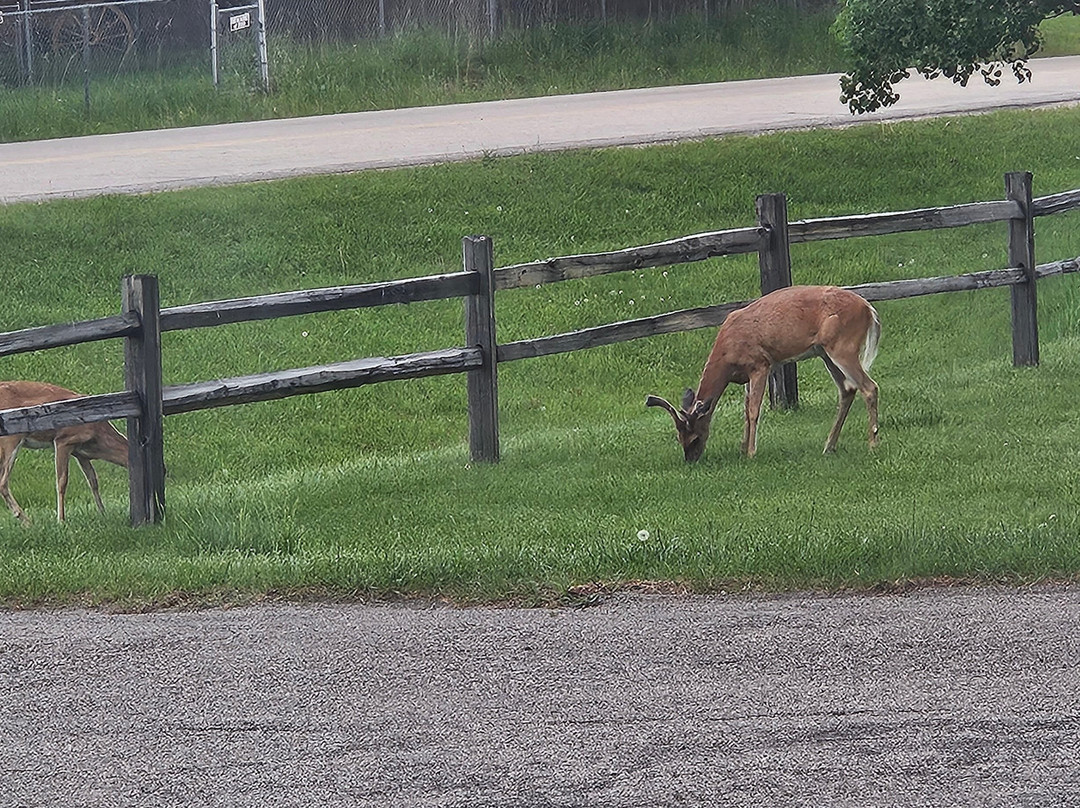 Story Pines Inn, LLC主图