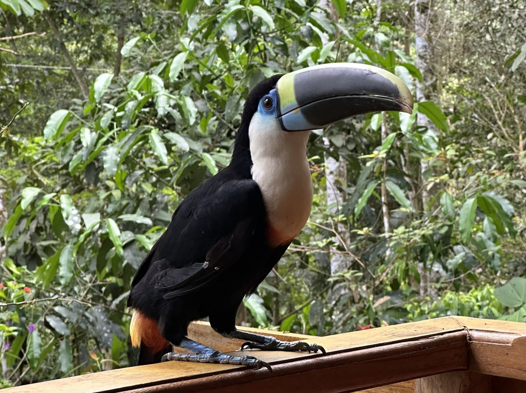 EXPEDICIONES VILCA-Manu必去景点