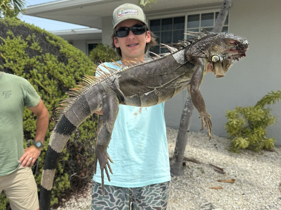 Invasive EnVogue-Ramrod Key必去景点