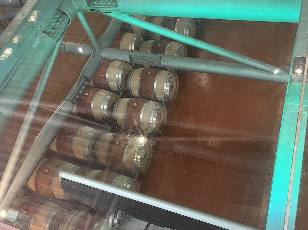Icario Winery-蒙特普尔恰诺必去景点