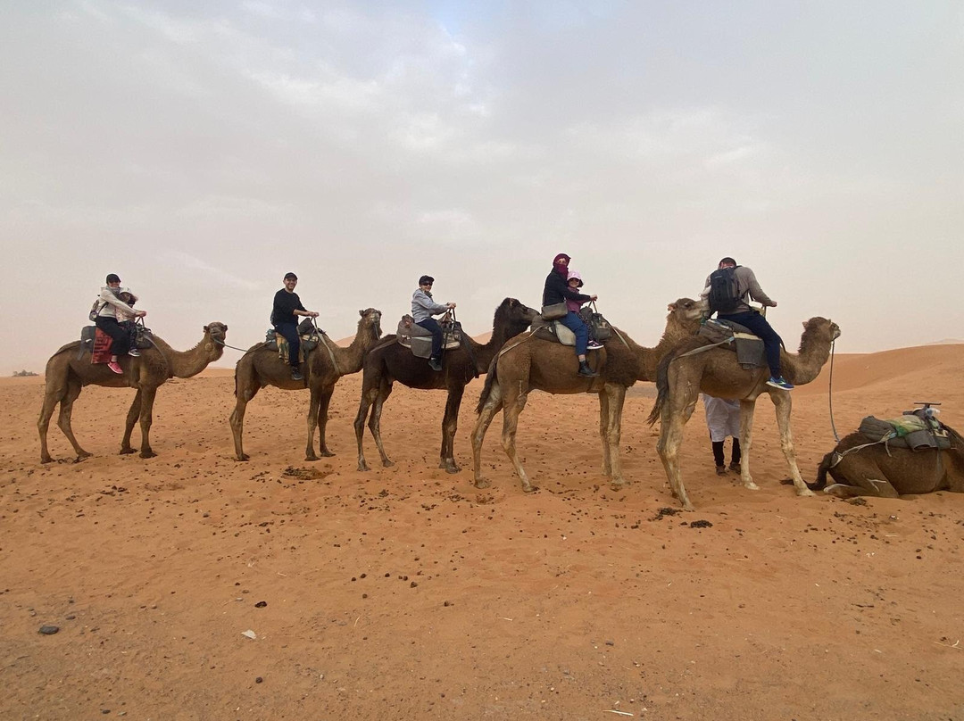 Morocco Best Travel-马拉喀什必去景点