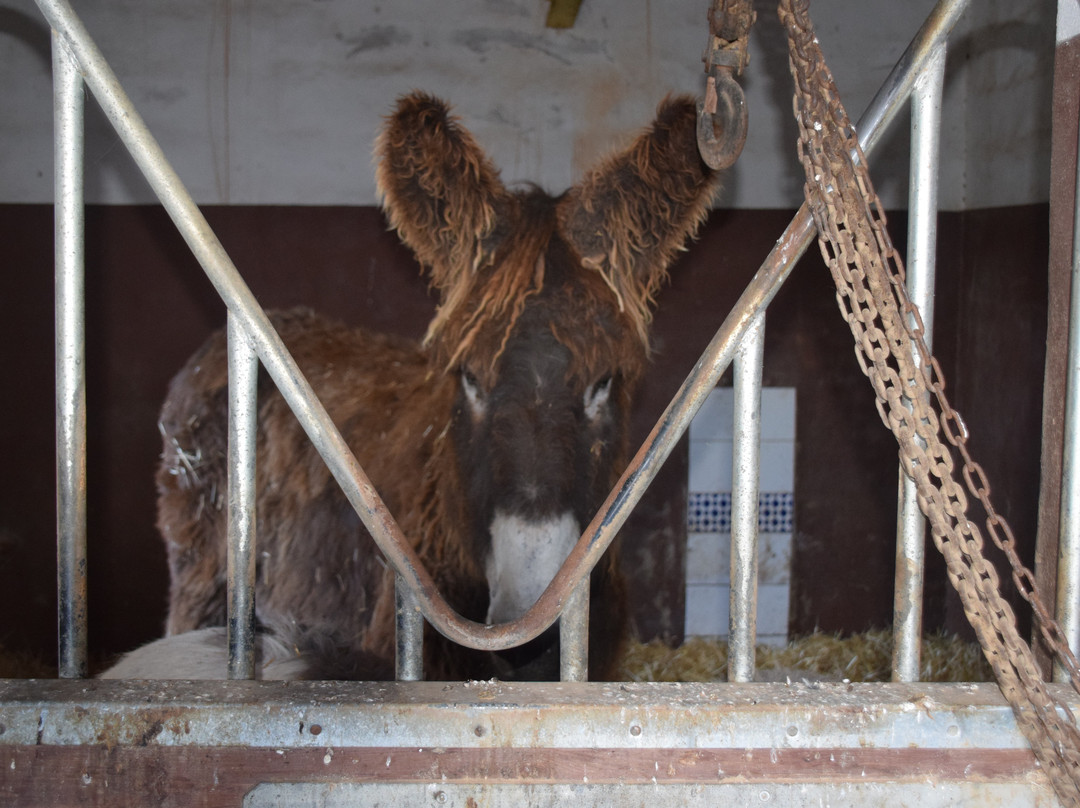 Mirador de Bernia-Jalon必去景点