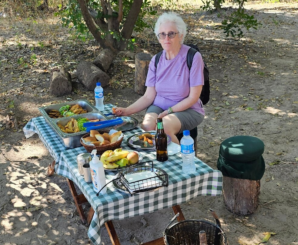 African Safari Experience-李文斯顿必去景点