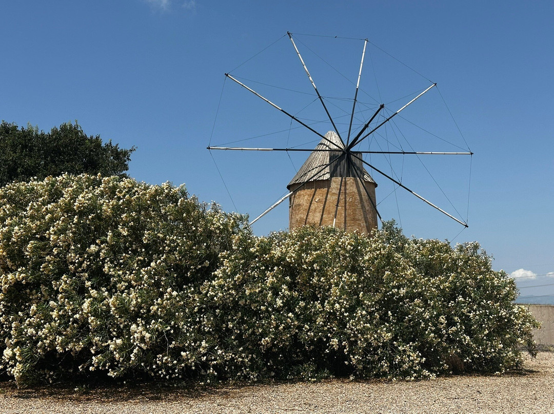 Molino de Los Camachos-Torre-Pacheco必去景点