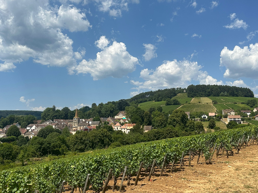 Chemins de Bourgogne-第戎必去景点