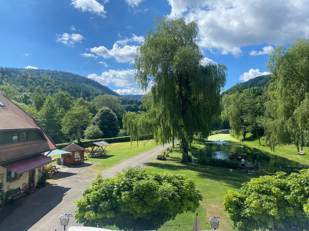 Zur Alten Muehle主图