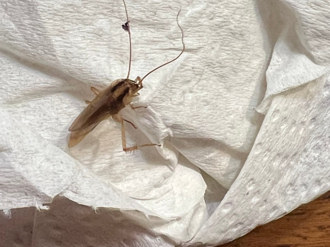 Residence Inn Danbury主图