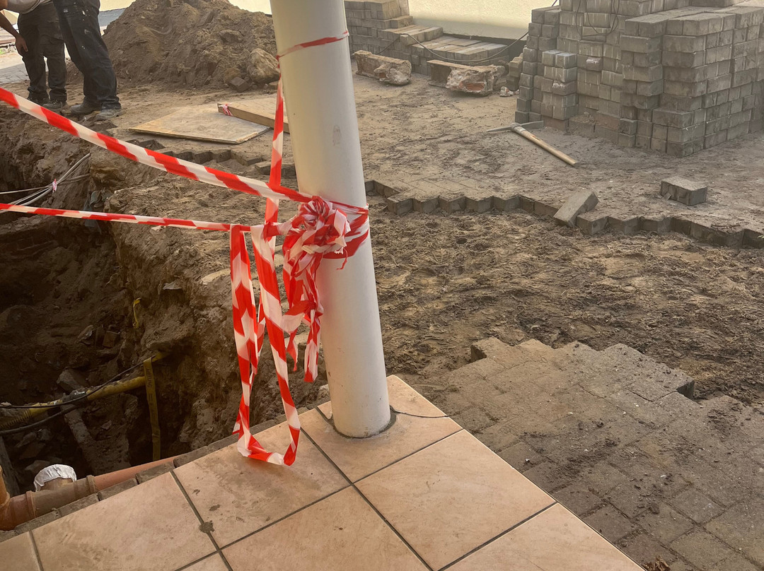 Musa's Grune Tanne主图