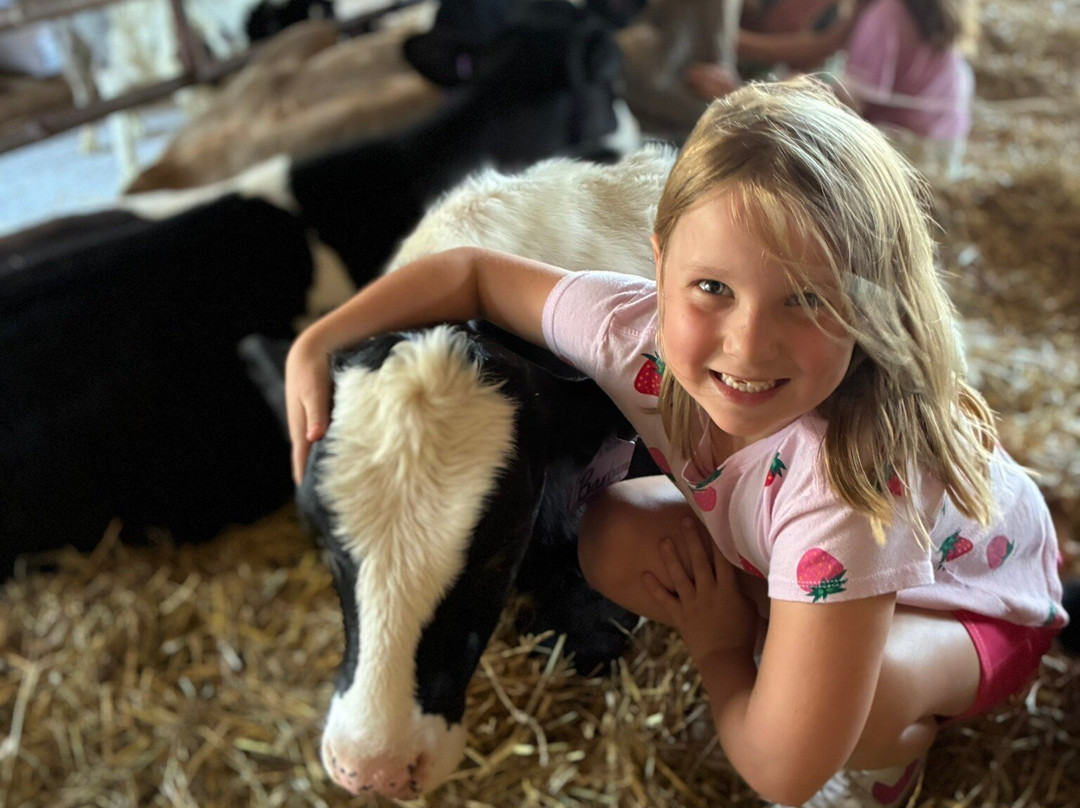 Sunset View Creamery-Odessa必去景点