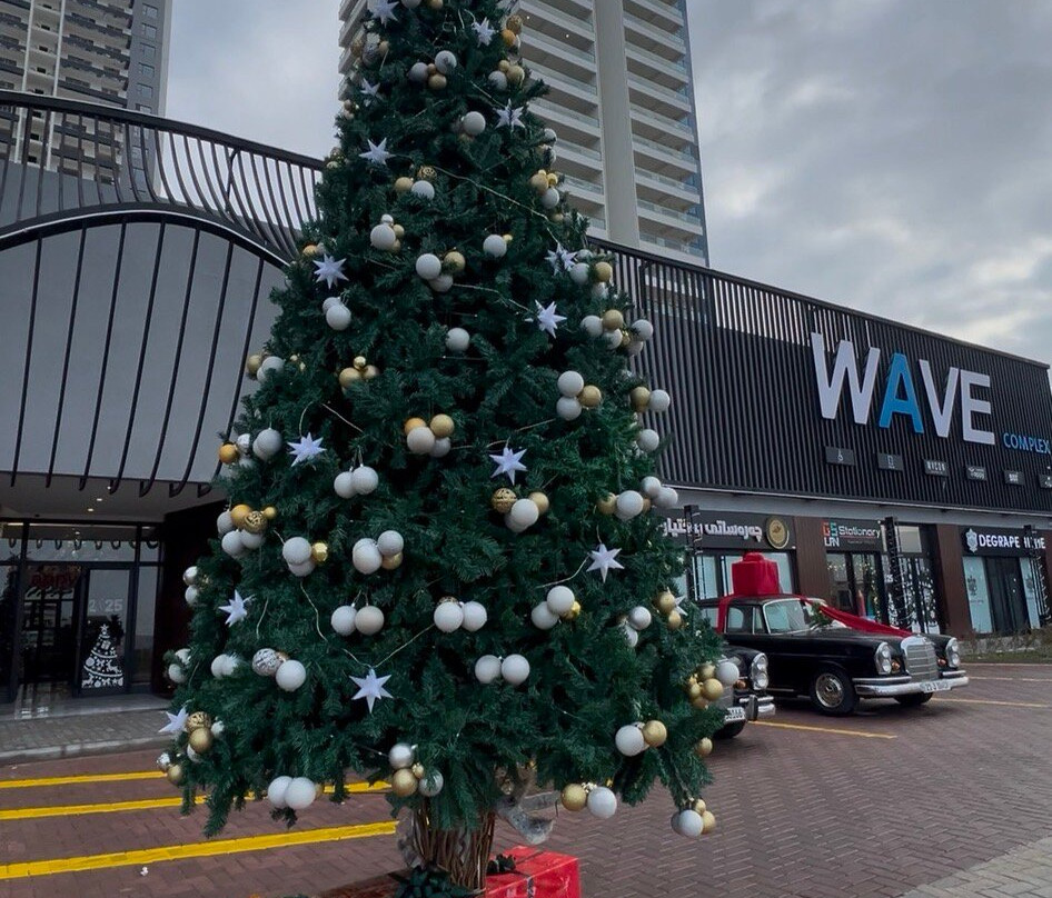 Wave Complex-苏莱曼尼亚必去景点